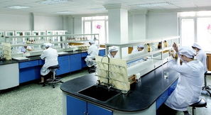 豪華賽皇宮，藥價(jià)為何高？——透視哈藥六廠事件中的網(wǎng)絡(luò)技術(shù)與輿論影響